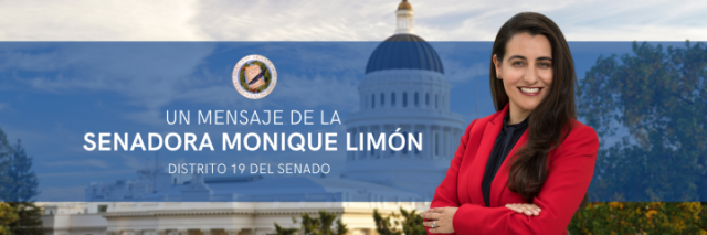 sd19_limon_240809_spanish_banner